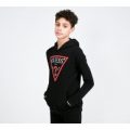 Junior Classic Logo Hooded Top