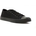 Red Fish Mens Canvas Lace Up Shoe in Black