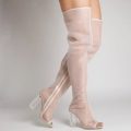 Chyna Mesh Nude Long Boots with Perspex heel, Nude