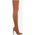 Alabama Pointed Toe Long Boot In Nude Lycra, Nude