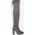 Ivy Over The Knee Long Boot In Light Grey Faux Suede, Grey