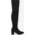 Claudia Over The Knee Long Boot In Black Faux Suede, Black