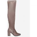 Windsor Lace Up Long Boot In Taupe Faux Suede, Brown